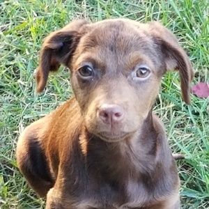 Meet your Posher, Carol